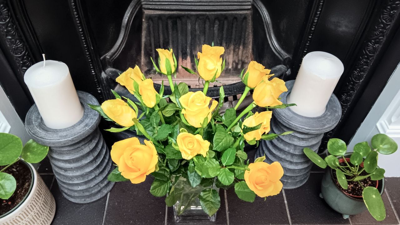 Flowers arranged using the sticky tape hack