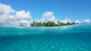 Tropical island, partial underwater view.