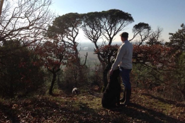 chateau cadillac, bordeaux