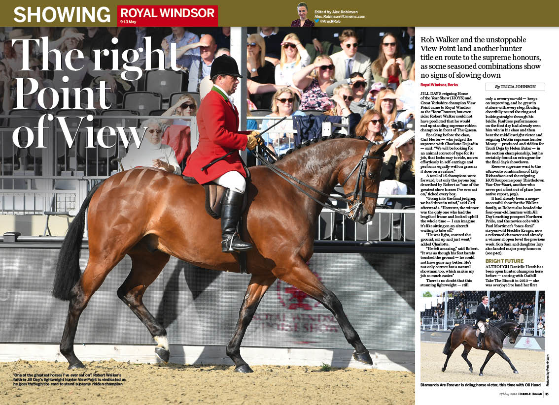 SHW-4pp-Windsor-horses-NEW.jpg