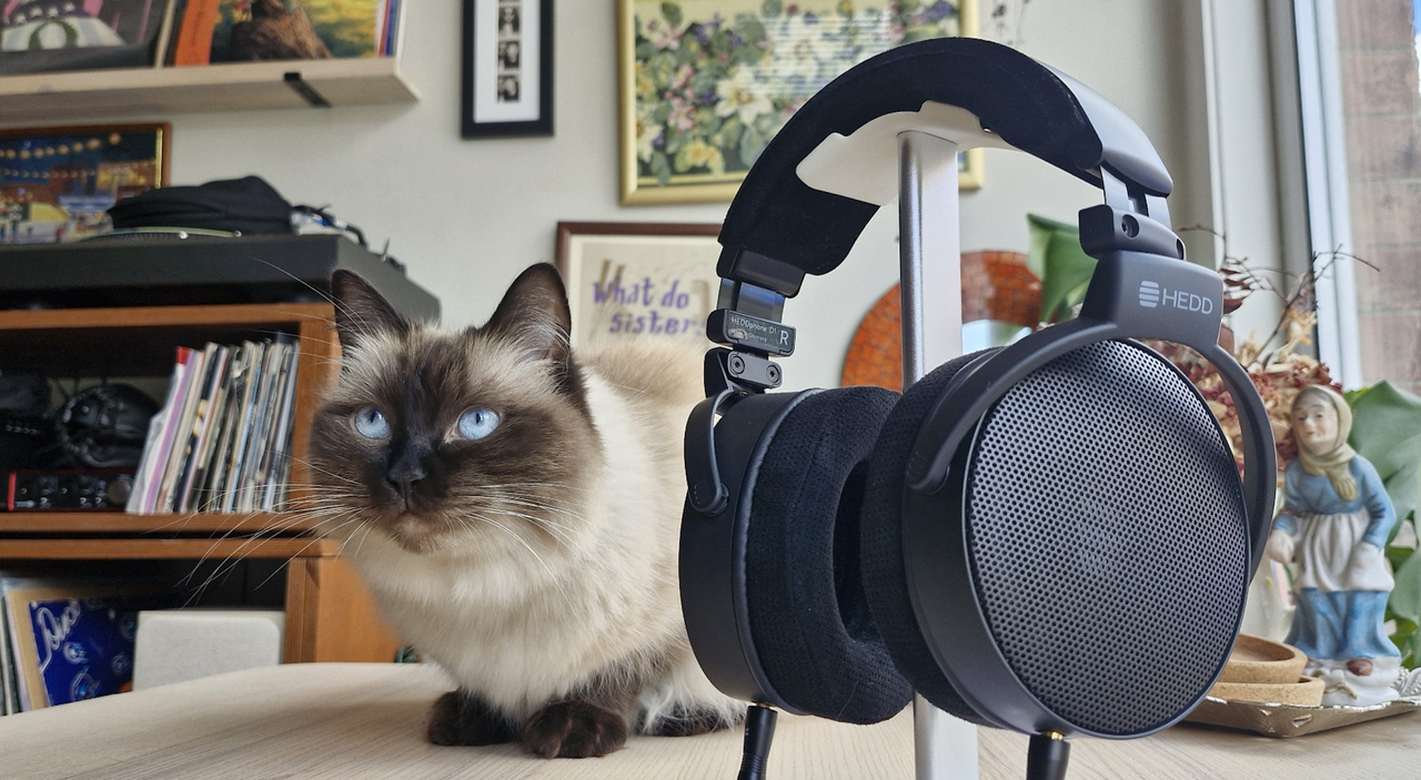 Heddphone D1 on a beige table in closeup, and with a beautiful cat