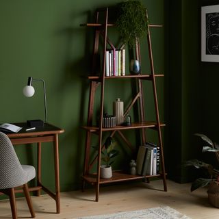 green wallpaper with ladder shaped shelves
