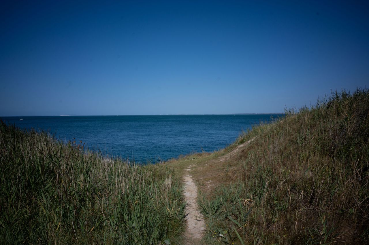 A sandy path leads to the ocean on a clear sunny day, seen between long grassy hills