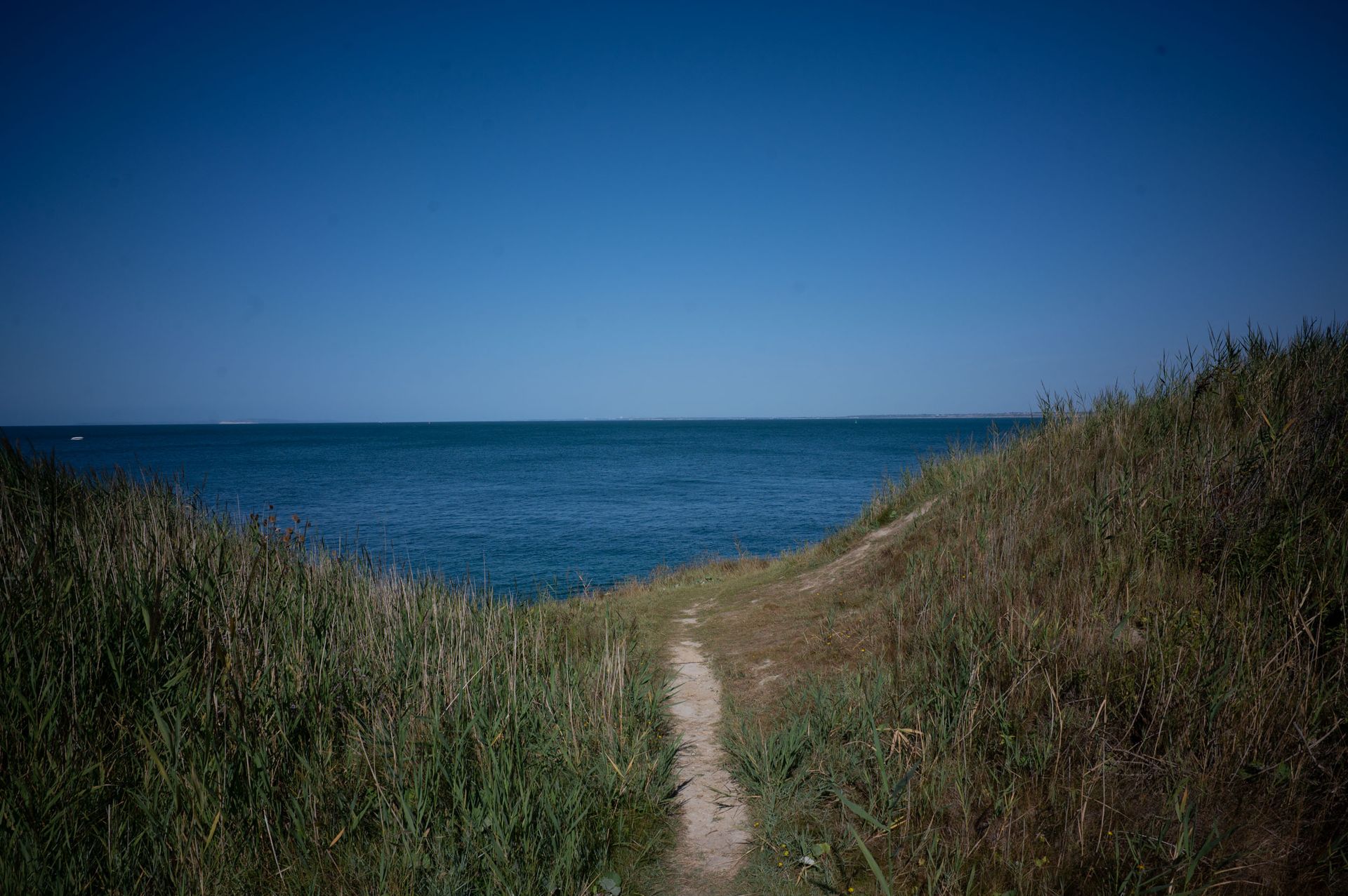 A sandy path leads to the ocean on a clear sunny day, seen between long grassy hills