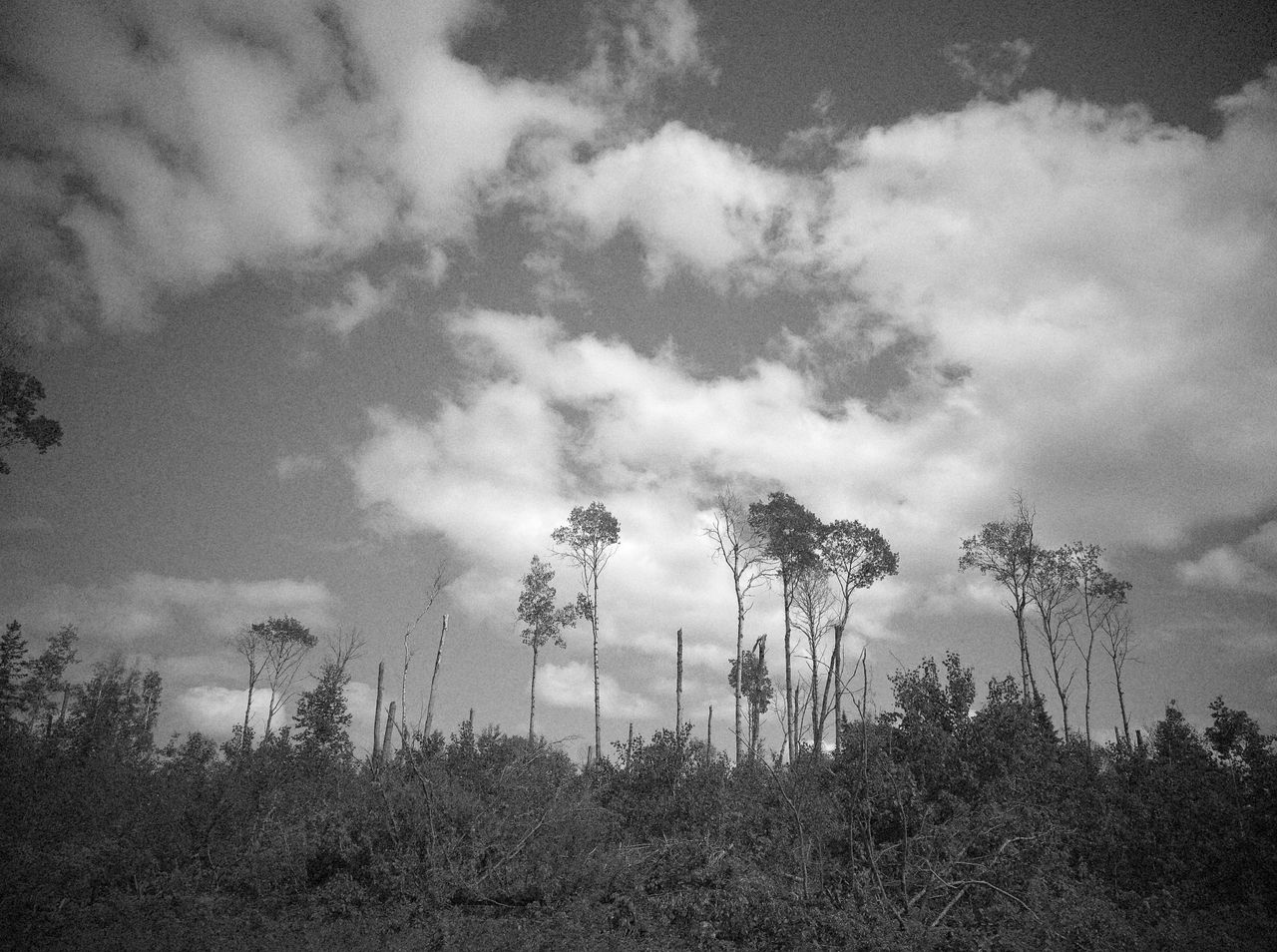 Image samples from the Flashback One35 V2