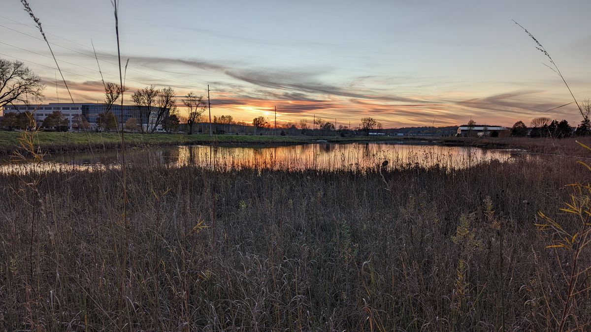 Pixel 6 Pro camera sample