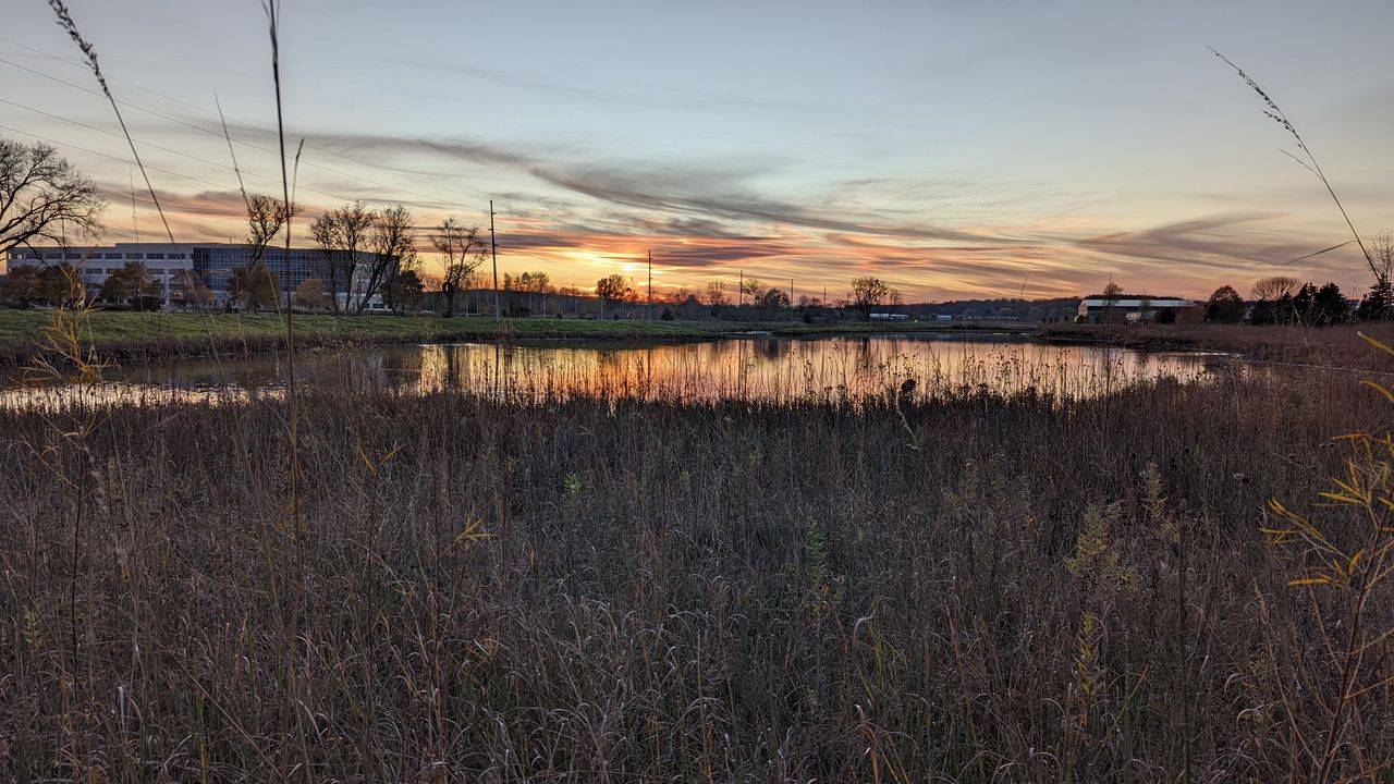 Pixel 6 Pro camera sample