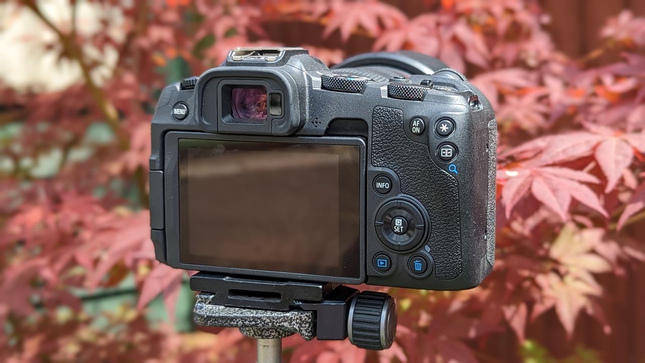 Rear view of the Canon EOS R8