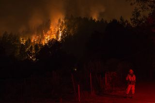 A wildfire sweeps through the forest, down the south side of Dry Creek Canyon, at the Partrick Fire on Oct. 12, 2017, west of Napa, California. 