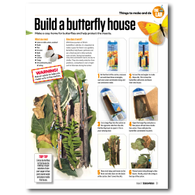 Butterfly house magazine page
