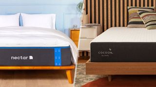 Nectar Memory Foam mattress vs Cocoon by Sealy Chill mattress press photos
