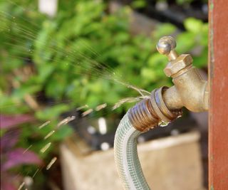 An outdoor faucet leaking at the hose