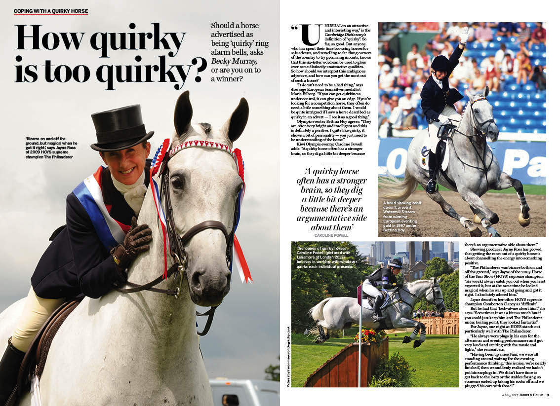 FT-3pp-Quirky-horses.jpg