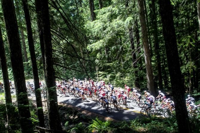 The race heads high into the thick Oregon forests.
