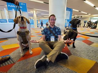 Dogs of CES 2020