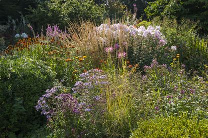 Summer flower garden