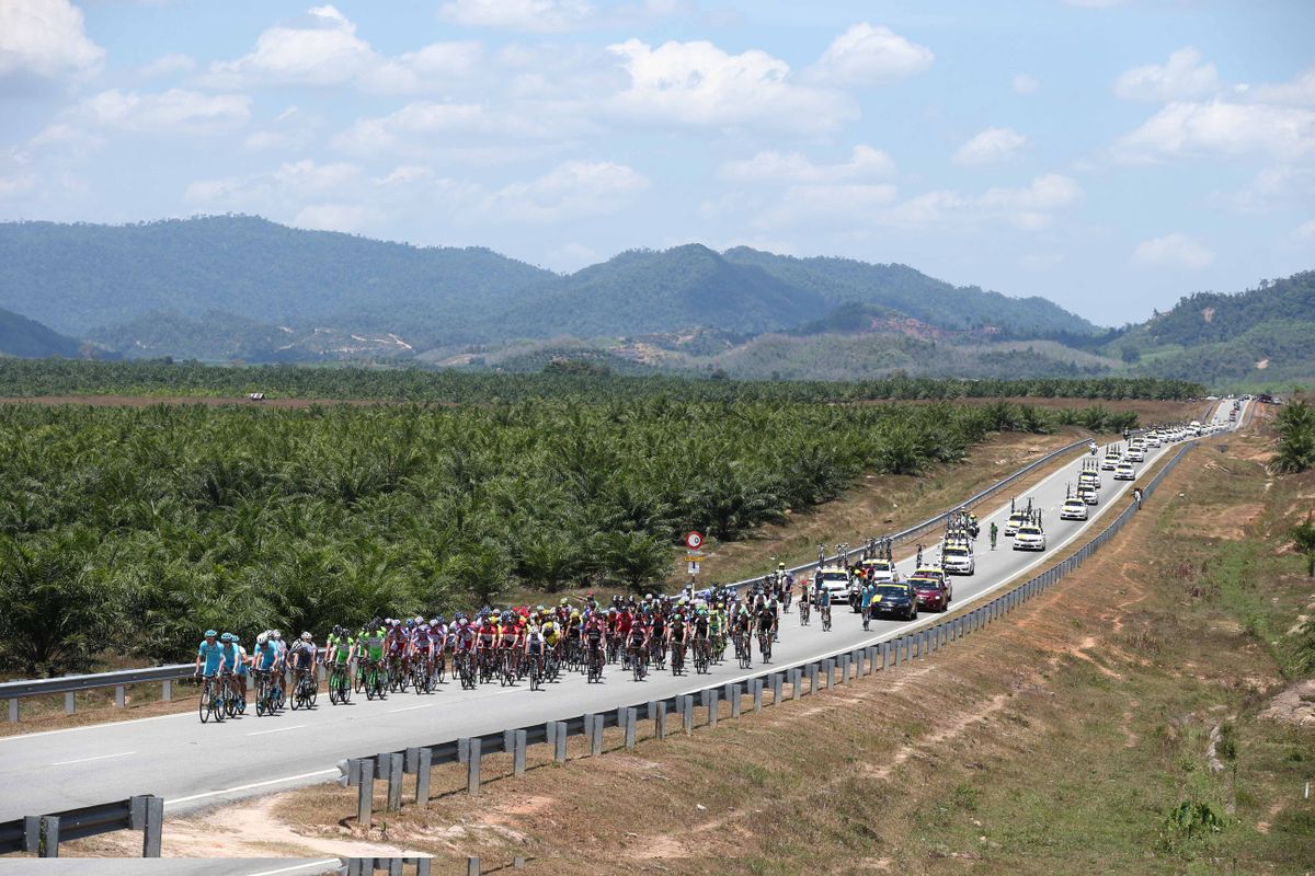 The peloton during stage two of the race