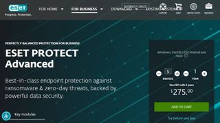 ESET PROTECT Advanced website screenshot.
