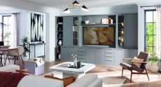 CD storage ideas in blue built in cabinetry