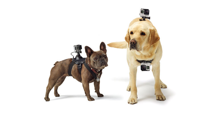 Best GoPro accessories: GoPro Fetch