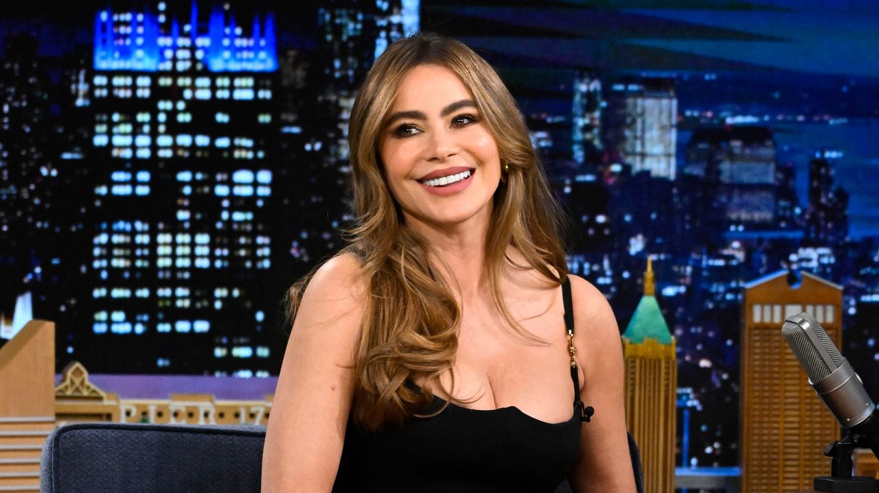 Actress Sofía Vergara dishes on the possibility of a &quot;Modern Family&quot; reboot.