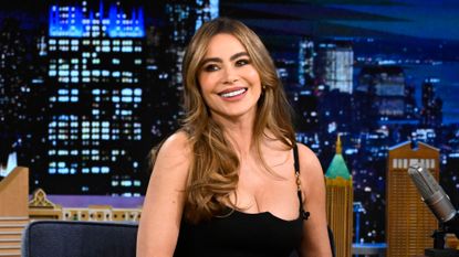 Actress Sofía Vergara dishes on the possibility of a "Modern Family" reboot.