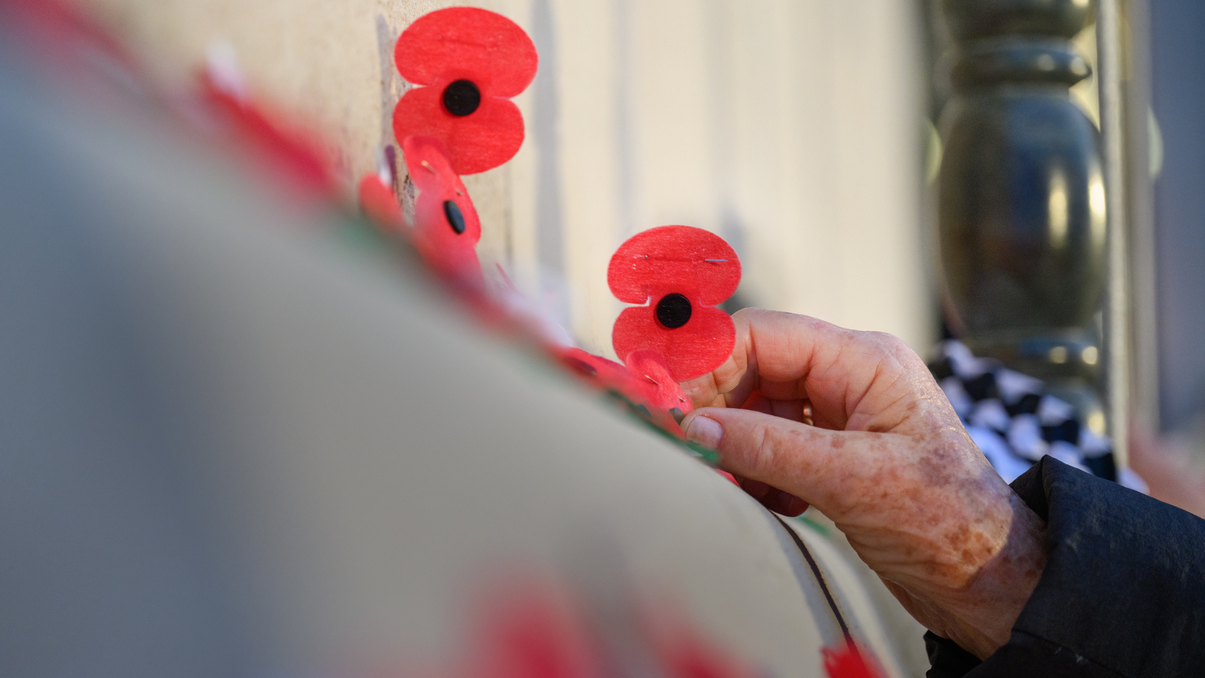 Man placing down a red poppy on Remembrance Day