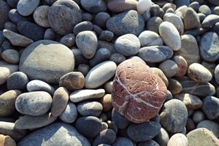 small rock garden ideas: beach pebbles