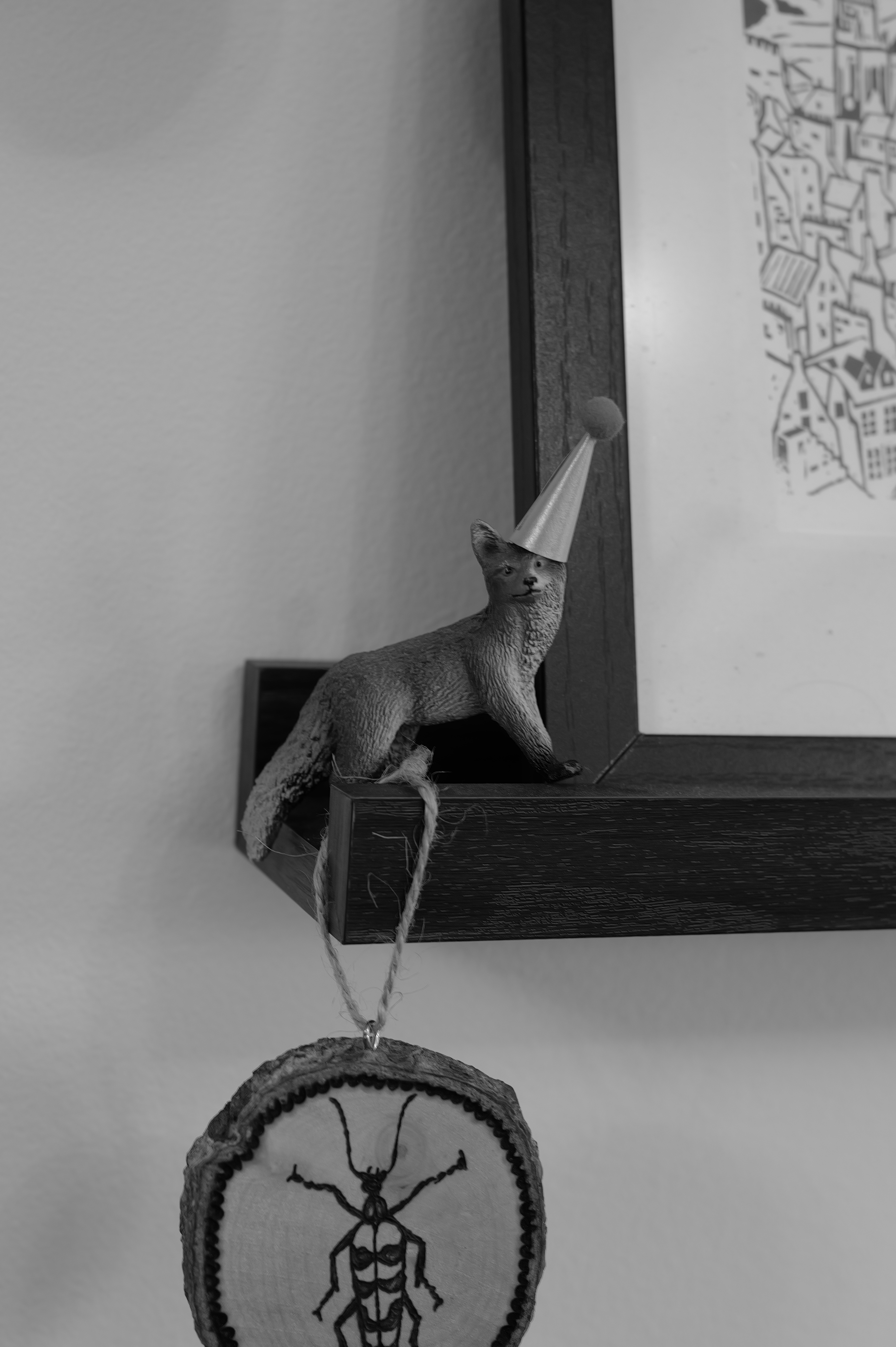 A photo taken on a Leica Q3 Monochrom black-and-white camera