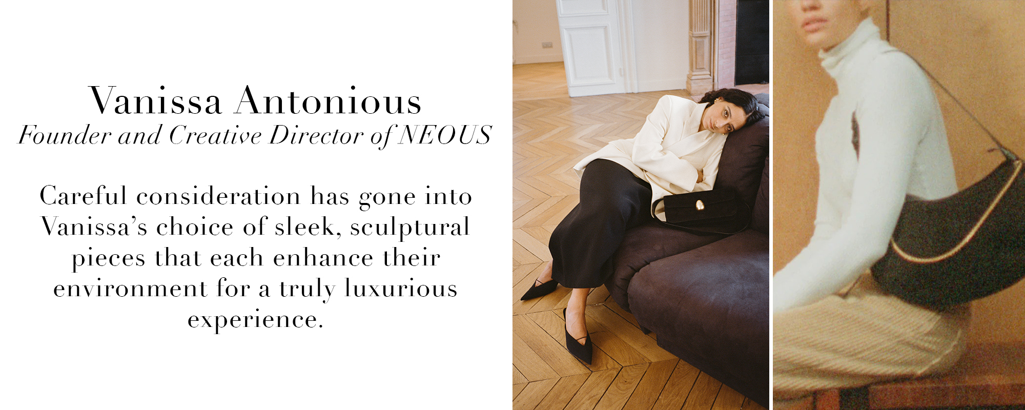 vanissa antonious neous wish list