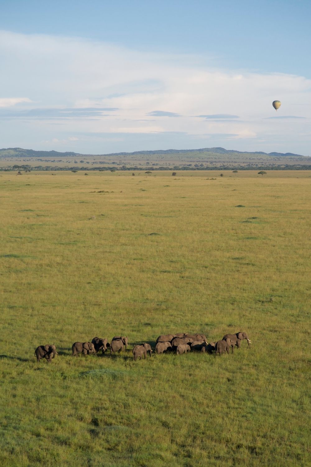 Serengeti Balloons Safaris