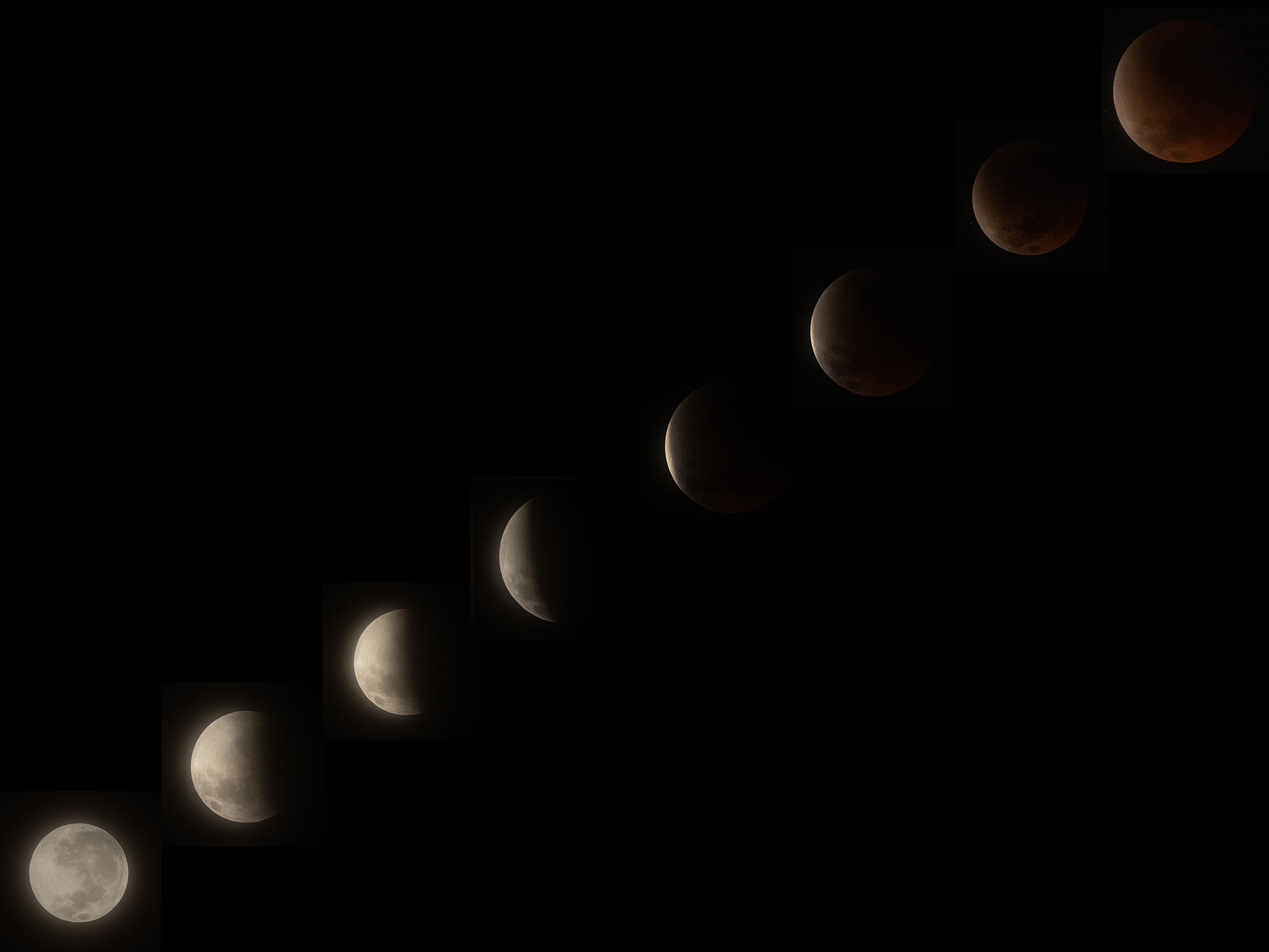 A composite image showing a series of eight moons in a diagonal line, revealing the phases of a total lunar eclipse. The moon on the bottom left is not shadowed, while the right is pictured during totality.