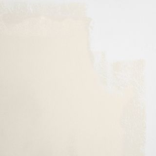 warm white paint swatch