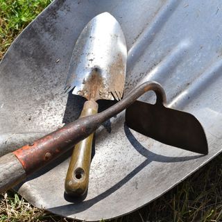 hand spade and shovel gardening tool