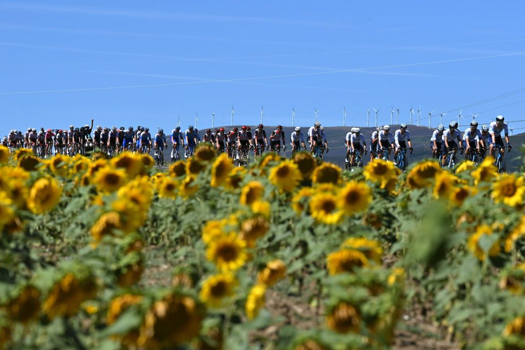 LAGUARDIA SPAIN AUGUST 23 A general view of the peloton passing through a sunflowers field during the 77th Tour of Spain 2022 Stage 4 a 1524km stage from VitoriaGasteiz to Laguardia 627m LaVuelta22 WorldTour on August 23 2022 in Laguardia Spain Photo by Justin SetterfieldGetty Images