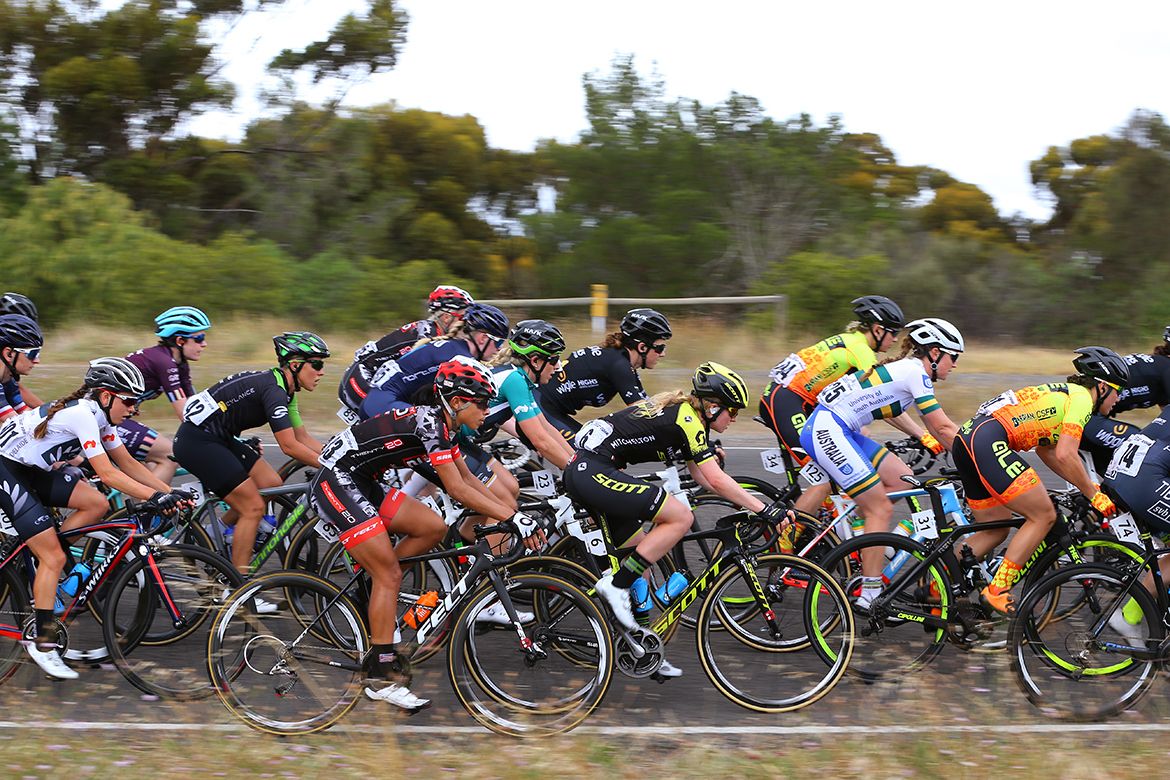 The bunch in action