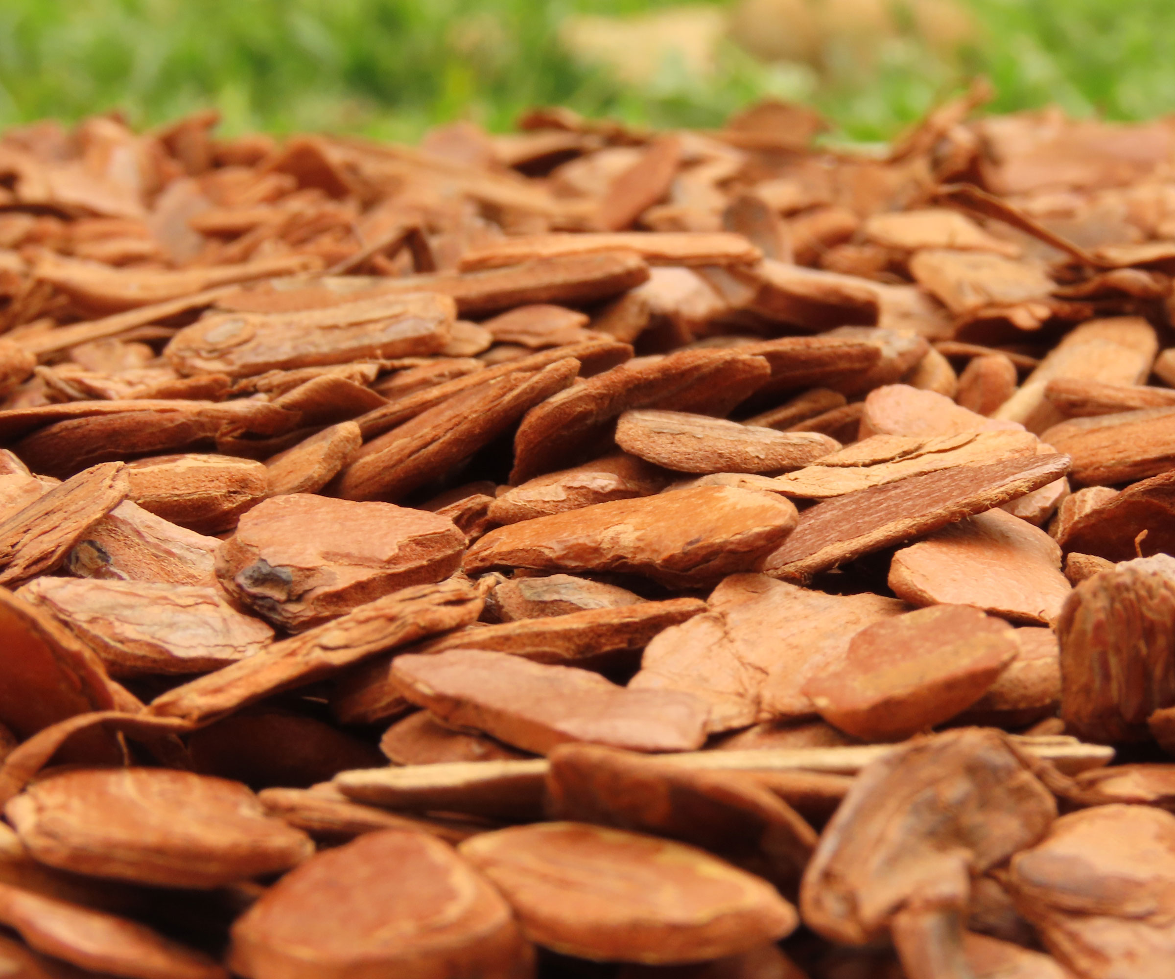 pine bark nuggets used as mulch