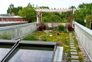 residential roof top garden with stepping stone path and pergola