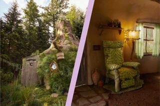 Shrek's 'swamp' Airbnb