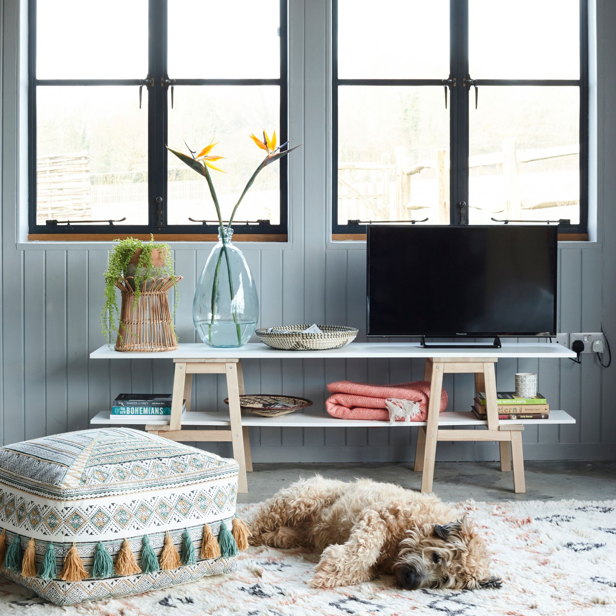 Light blue painted living room with a fluffy dog laying on a berber rug next to a colourful pouffe