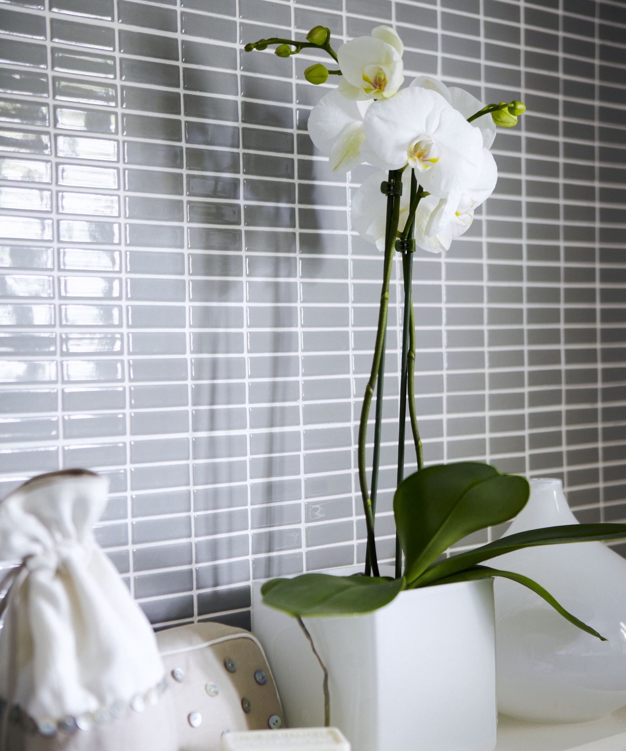 A white orchid growing on a bathroom shelf in front of ceramic grey tiles