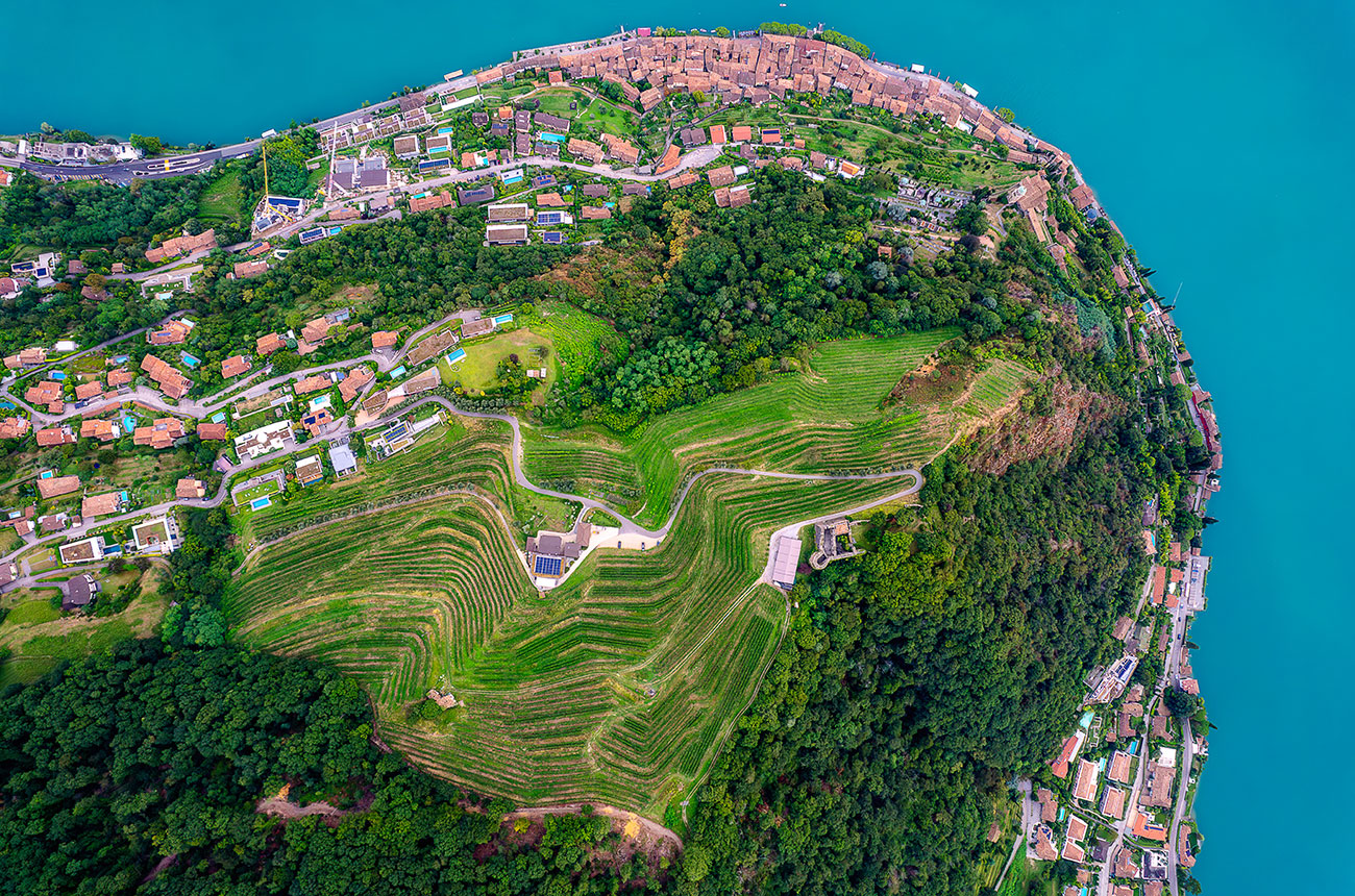 wine photographer of the year shortlist 2025