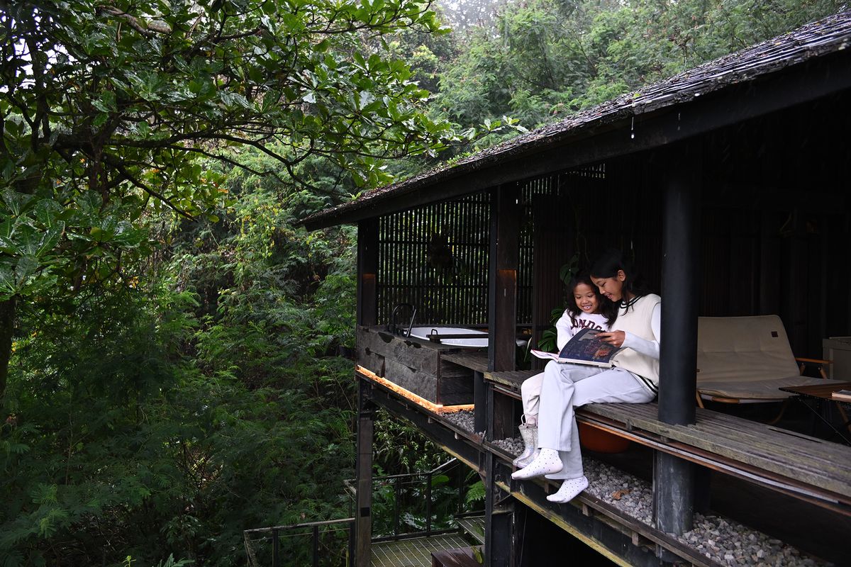 Two people reading a book in a forest