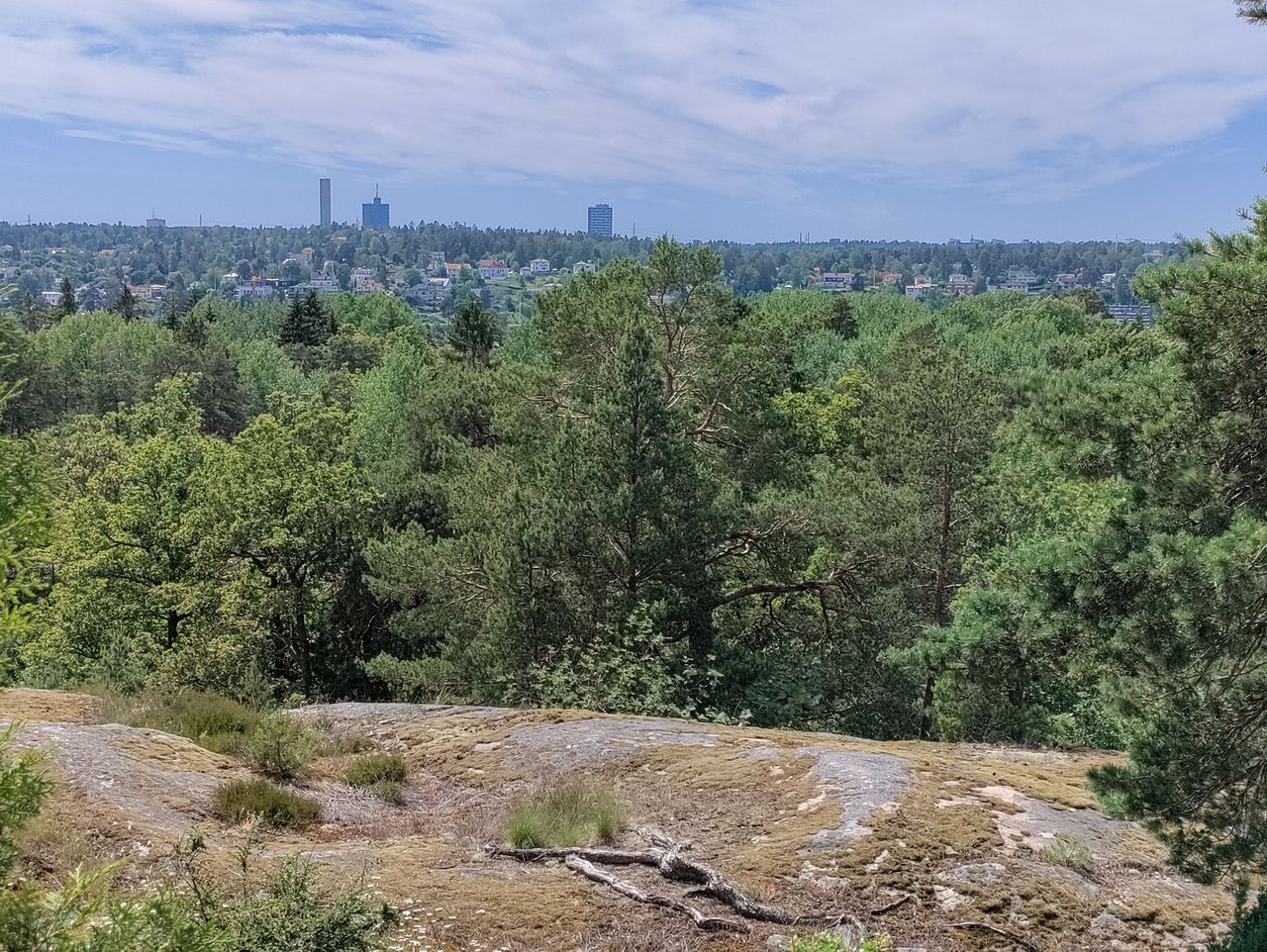 Bildexempel fr&aring;n kamerorna i Oneplus Nord CE 5G.