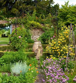 Herbs planted in flower border