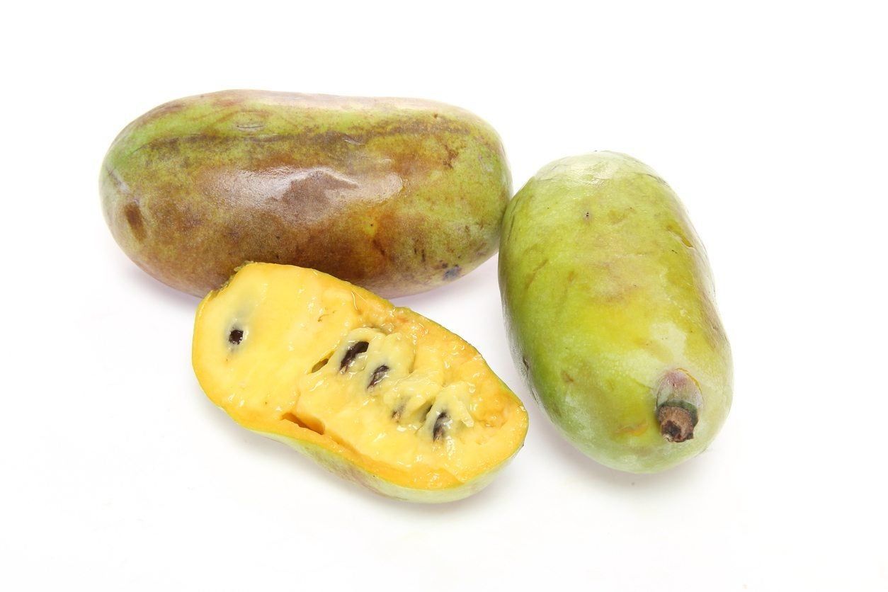 pawpaw variety