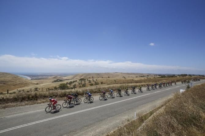 The peloton in a nice long line