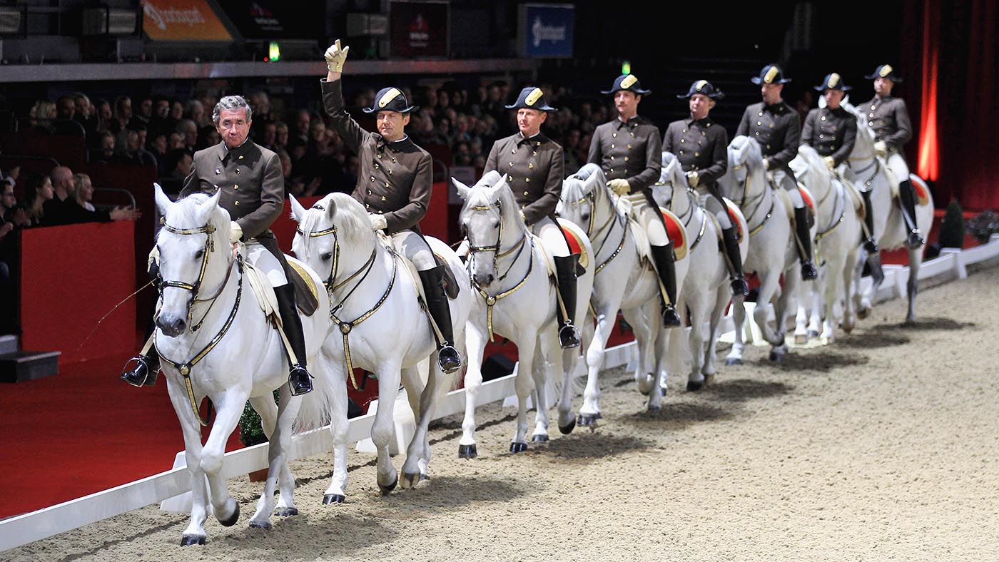 Lipizzaners from the Spanish Riding School
