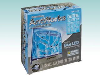 Fascinations AntWorks ant farm
