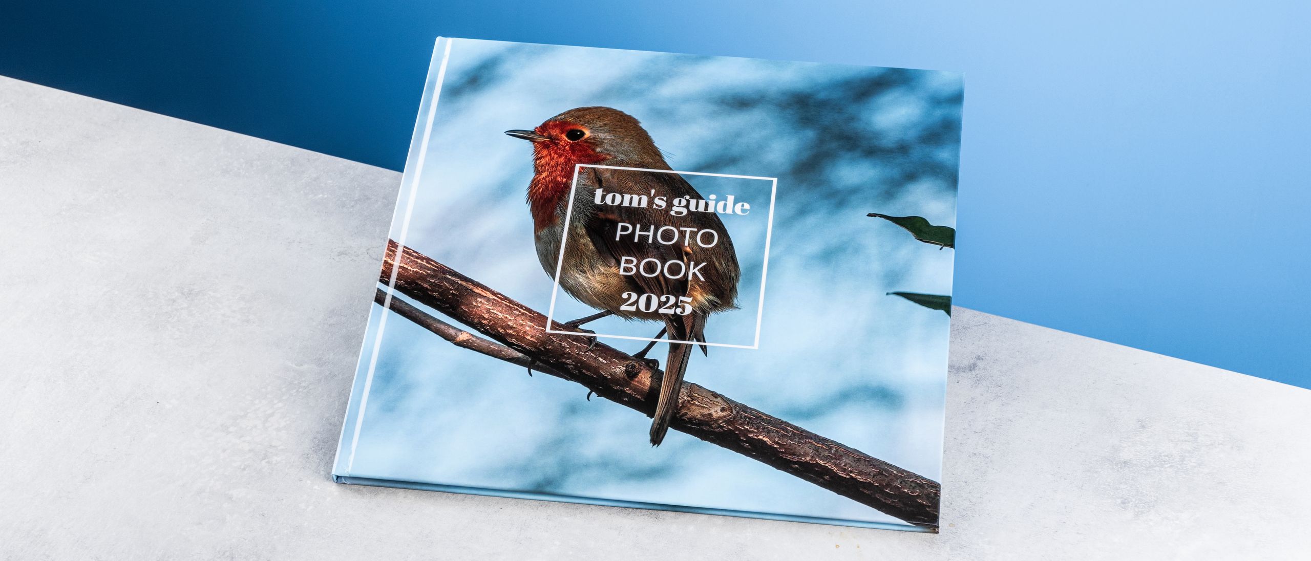 Vistaprint photo book review